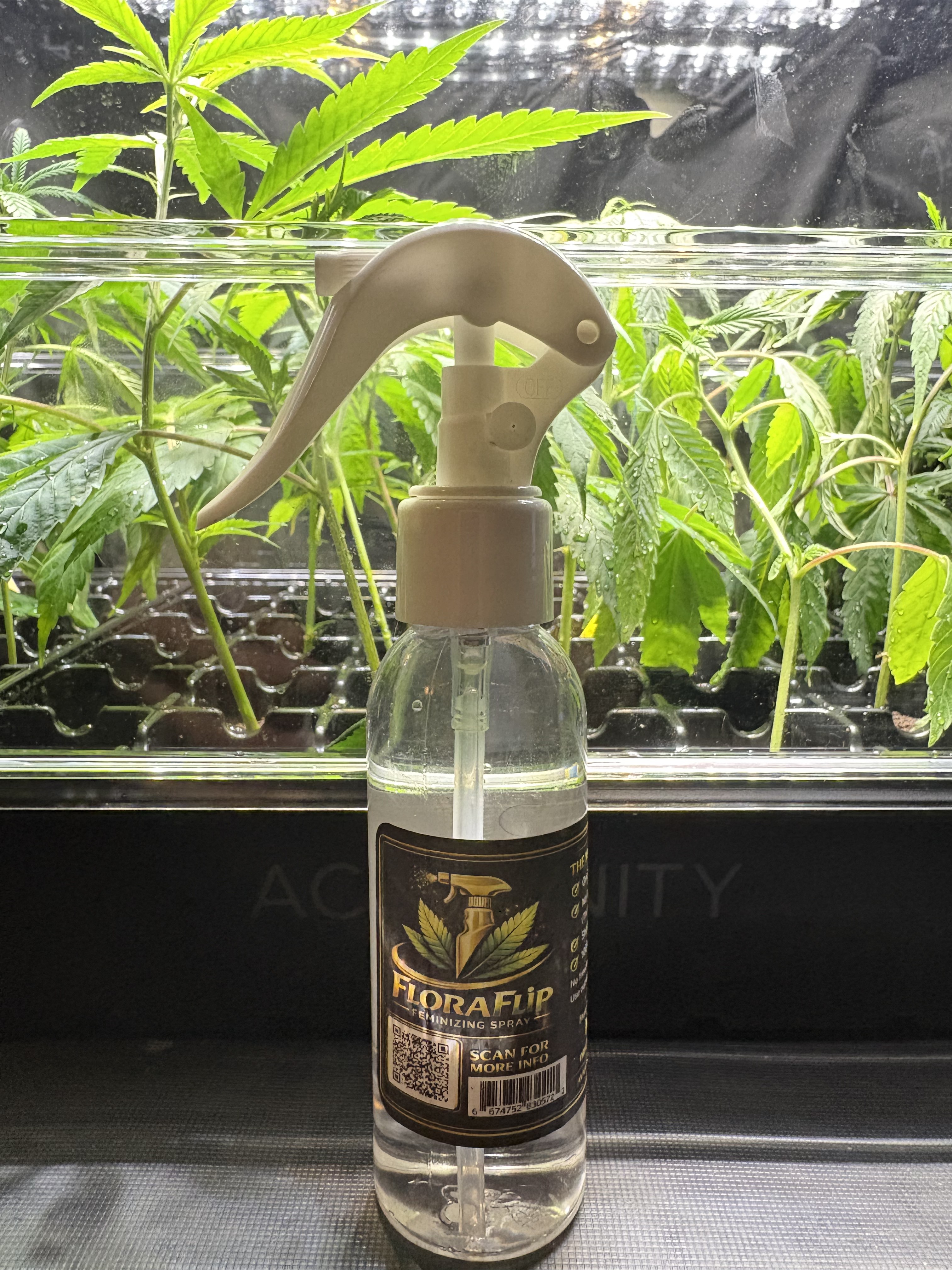 FloraFlip Feminizing Spray in use